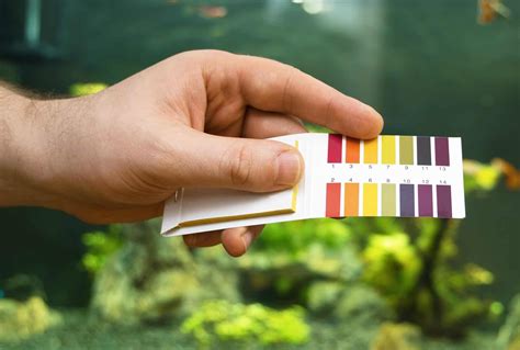 how to test water hardness aquarium|aquarium water hardness explained.